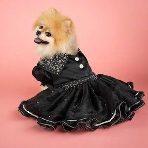 Doggy Parton Black Apparel Shimmering Gala Evening Pet Dress